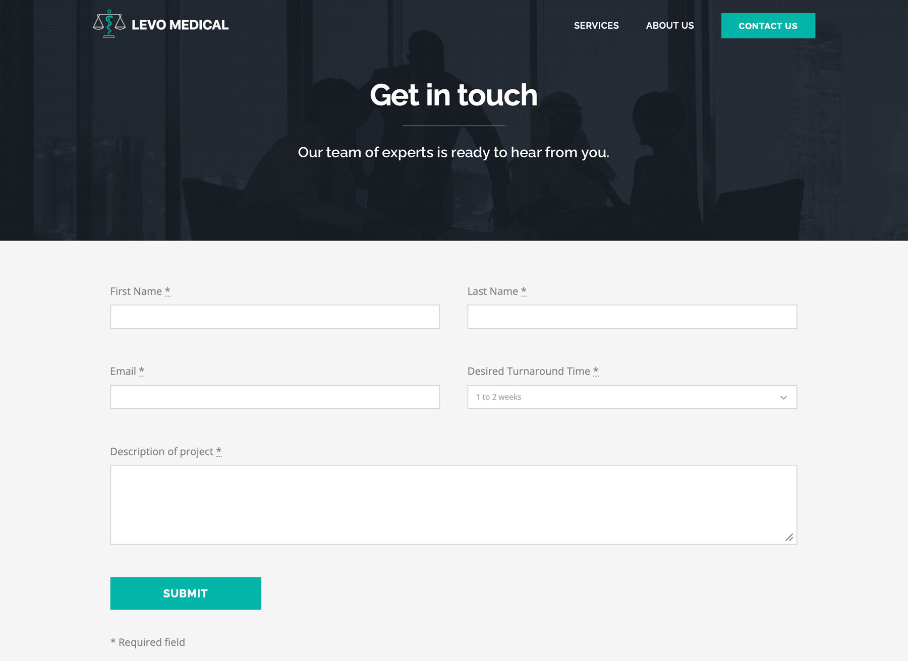 Levo Medical Website Screenshot